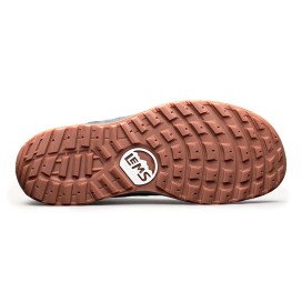 Lems Primal Pursuit