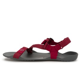 Xero Shoes Z-TREK II - Männer