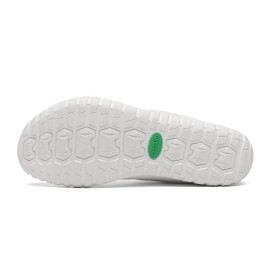 Saguaro XZH0177