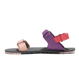 Xero Shoes D-TRAIL