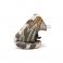 Saguaro Active II - XZA0101