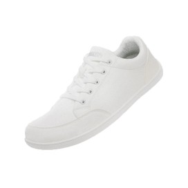 Saguaro Stelar II - XZH0233