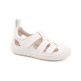 Coqueflex Sunny II - Kinder