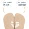 Meias Barefoot Muris - de Cano Alto (3 pares)