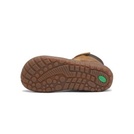 Saguaro Ambition III Kinder - XZH0292