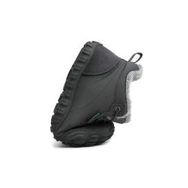 Saguaro Will II - XZF0167