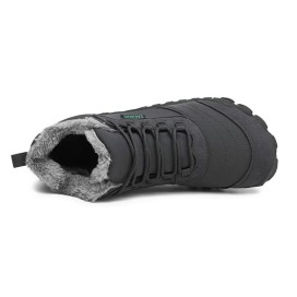 Saguaro Will II - XZF0167