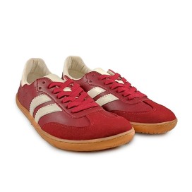 Coqueflex Senzala II