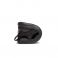 Zapato Feroz Sax Freekers