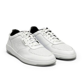 Waals Tromso - Herren