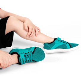 Saguaro Luck I XZH0222