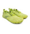 Saguaro Free I - XZA055