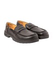 El Naturalista Windsor - Hombre