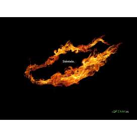 Wallpapers ZaMi Fire