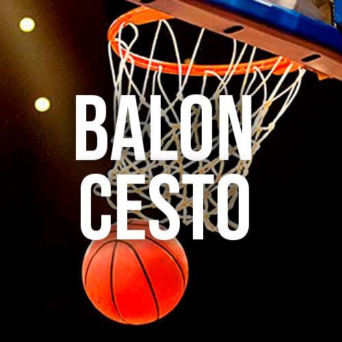 Basquetebol