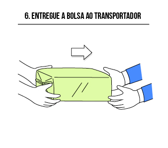 Etapa 6