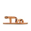 Camel - Waals Natur II