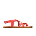 Coral - Waals Natur II