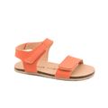 Coral - Coqueflex Estiva