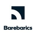 Barebarics