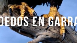 Legen Sie es nicht auf Ihre Füße, wenn Sie krumme Zehen haben