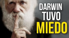 Als ich mit minimalistischem Laufen begann, hatte ich Angst