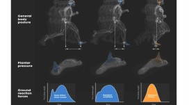 Las enseñanzas de Lee Saxby: Técnica de Carrera