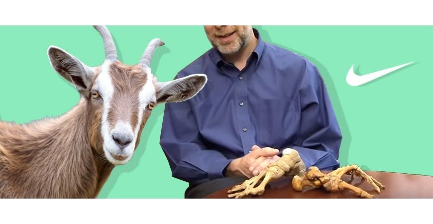 A Goat, a Harvard DR. and, of course, Nike.