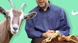 Eine Ziege, ein Harvard-DR. und natürlich Nike.