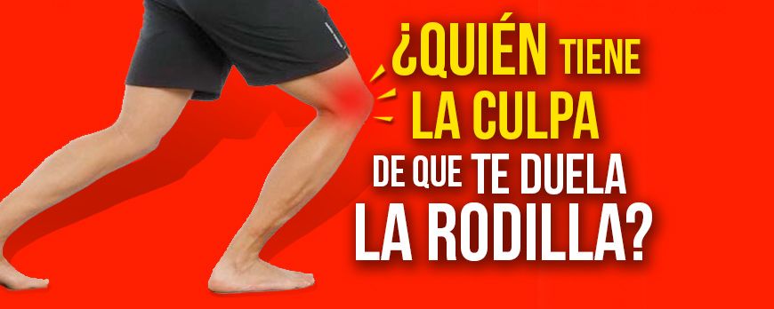 ¿Quién tiene la culpa de que te duela la rodilla?