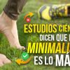 Scientific studies say that change to barefoot shoes is the Best